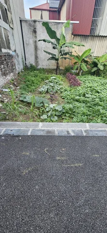 🌺🌺 Bán 42m2 Đất Thôn Xuân Nộn, Vuông vắn, Nhỏ Tiền, Đường nhựa ô Tô vào