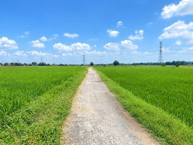 Bán Đất 1448m2 giá 3.2 tỷ tại Thửa 172, TBĐ 37, Xã Thái Mỹ TP. Hồ Chí Minh
