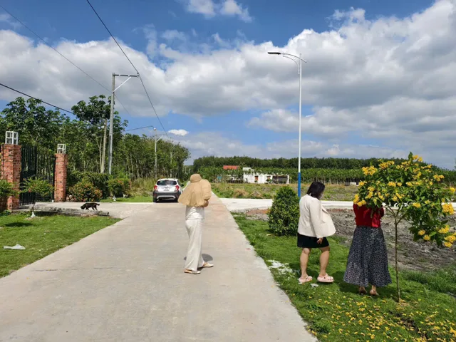 🚨 420 TRIỆU – CÓ NGAY 215M² ĐẤT MẶT TIỀN ĐƯỜNG NHỰA!
