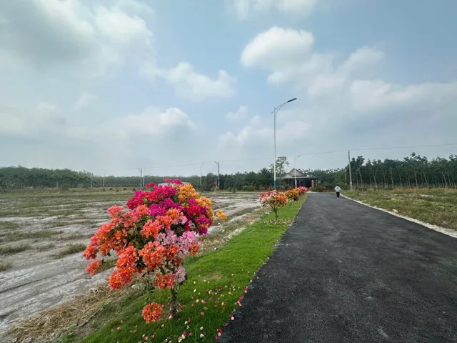 🔥 215M² ĐẤT MẶT TIỀN ĐƯỜNG NHỰA – CHỈ 420 TRIỆU TẠI MINH HƯNG 3