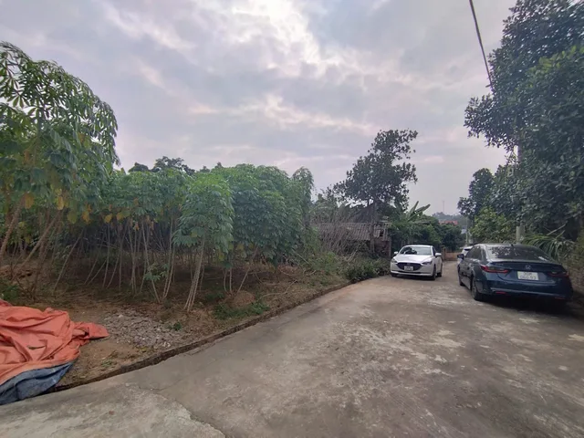 🌱Bán Lô Thổ Cư Đẹp Châu Phong, Quế Võ Giá Mềm Đường Oto Vivu Mt 20m Dt 497m2 Giá 3.3 Tỷ lh e Điệp 0395777369