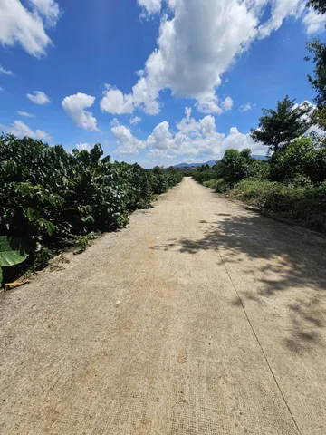 Bán Đất 2311m2 giá 4.62 tỷ tại cô giang Xã Tân Hà