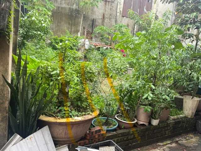 Bán Đất 75m2 có sẵn 75 m2 thổ cư giá 3 tỷ tại Xã Đại Đồng Huyện Tiên Du Bắc Ninh