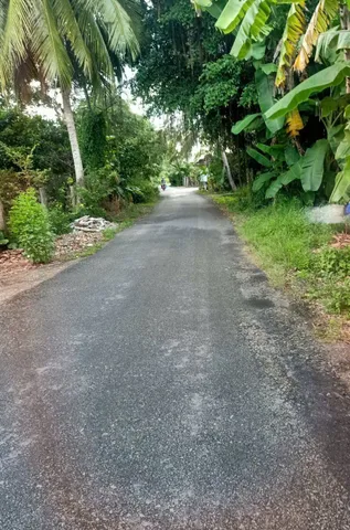 Bán Đất 448.3m2 có sẵn 150 m2 thổ cư giá 1.1 tỷ tại Xã Thành Triệu Huyện Châu Thành Bến Tre