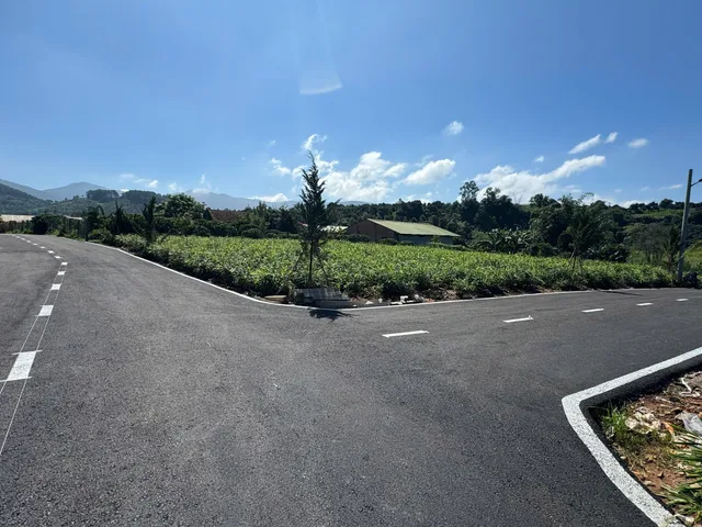 Đất View Suối Cam Ly ở thị trấn Nam Ban. Giá 450 triệu