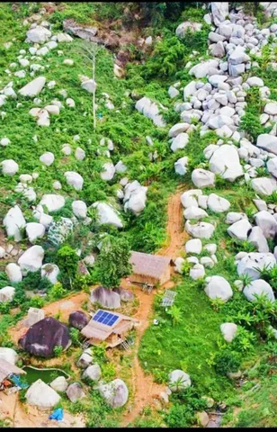 Cho thuê 10 héc ta ( sẵn 4,4ha sổ ) đất  ĐÁ nông nghiệp  Khánh Phú _ giáp đường Yang Bay. Giá 15tr/tháng