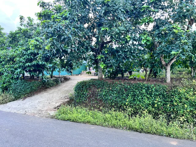 Bán Đất 1200m2 có sẵn 434 m2 thổ cư giá 6.8 tỷ tại Xã Lộc Thanh Thành phố Bảo Lộc Lâm Đồng