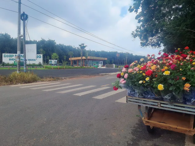 🍺277m2 Cách VINCOM 3’ - Cách Ql13 Chỉ 2km - 335Tr Trả Góp NH 50% , Sổ Hồng Riêng - An Cư ngay