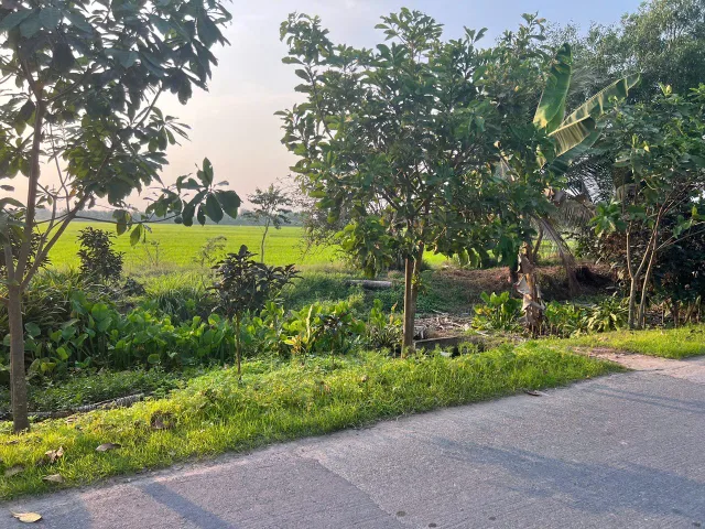 (L730) Bán Đất 3562m2 giá 3.8 tỷ tại Đường Tỉnh Lộ 7 Xã Phước Thạnh Huyện Củ Chi TP. Hồ Chí Minh