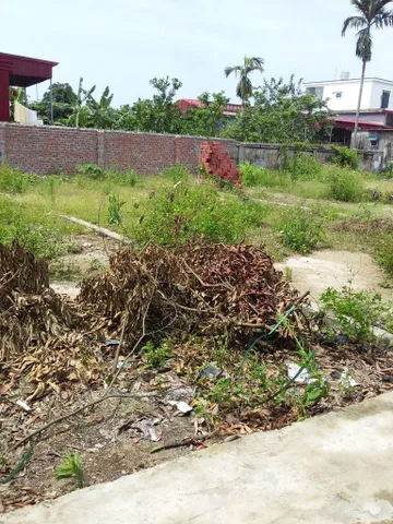 Bán Đất 73m2 có sẵn 40 m2 thổ cư giá 320 triệu tại Xã Thụy Duyên Huyện Thái Thụy Thái Bình