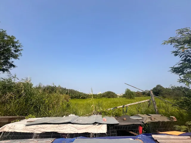 Bán Đất 10923m2 có sẵn 2210 m2 thổ cư giá 135 tỷ tại Đường Nguyễn Văn Tạo Xã Long Thới Huyện Nhà Bè TP. Hồ Chí Minh