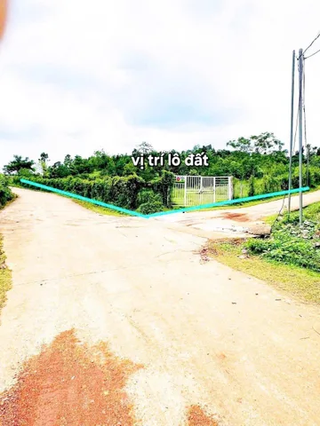 LÔ GÓC 2 MT 20x54=1057M2 SỔ RIÊNG ĐƯỜNG 15M TRÊN ĐẤT TRỒNG SẴN VƯỜN MÍT GIÁ 690TR
