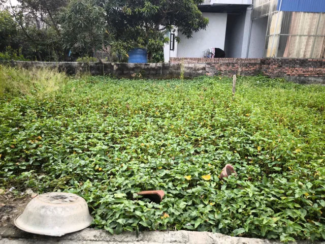 Bán cắt lỗ lô  Đất 52m2 giá 670 triệu tại Hoàng Động ngõ ô tô.l/h:076.231.9990 e Thúy