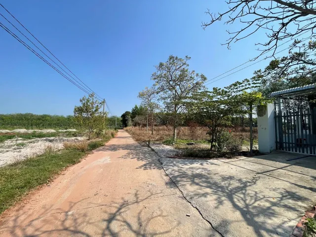 BÁN 1.000M2 ĐẤT GẦN TRUNG HÀNH CHÍNH HỚN QUẢN 150 TRIỆU