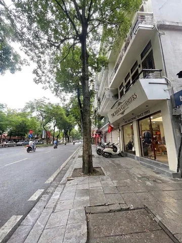 Bán Nhà riêng 30m2 có sẵn 30 m2 thổ cư giá 21.8 tỷ tại Đường Lê Hồng Phong Phường Giảng Võ Quận Ba Đình Hà Nội