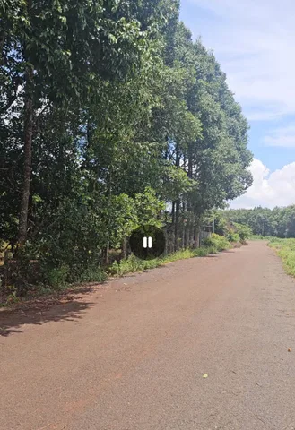 Chính chủ giá thật - Bán Đất 231m2 có sẵn 100 m2 thổ cư giá 878 triệu tại Xã Tân Quan Huyện Hớn Quản Bình Phước