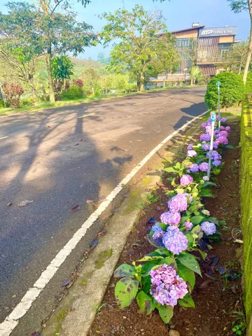 📍 LÀNG OMM – GẦN THIÊN NHIÊN, GẦN TIỆN ÍCH