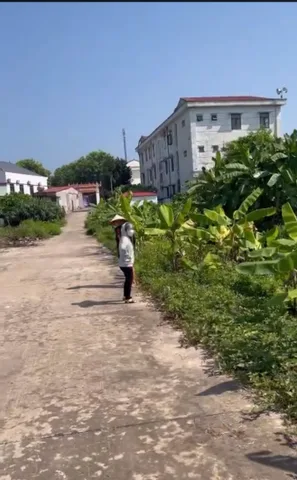 🔥 ĐẤT ĐẤU GIÁ LAN GIỚI CHỈ VÀI TRĂM TRIỆU