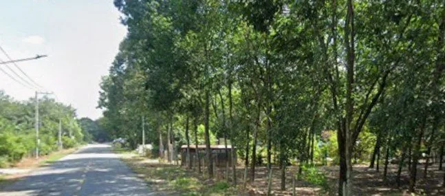 Bán Đất 410.7m2 có sẵn 318.9 m2 thổ cư giá 2.5 tỷ tại Phường Hòa Lợi Thị xã Bến Cát Bình Dương