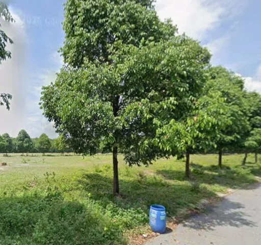 Bán Đất 150m2 có sẵn 150 m2 thổ cư giá 1.5 tỷ tại Xã Lai Hưng Huyện Bàu Bàng Bình Dương
