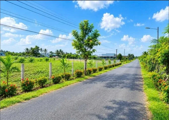 🔥 BÁN GẤP 500M² ĐẤT THỔ CƯ – TP GÒ CÔNG – GIÁ TỐT 🔥