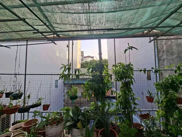 BÁN ĐẤT MẶT PHỐ NGUYỄN KHẮC NHU - BA ĐÌNH – SÁT PHỐ CỔ – 173M² – MT 7,6M – 130 TỶ