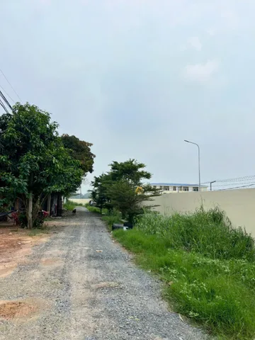 (L359) Đất Đường 499, xã Phạm Văn Cội, dt 1.314m2, giá 4 tỷ 200