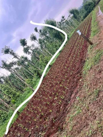Bán Đất 330m2 siêu rẻ nhất thị trường đầu tư, giá 80 triệu tại Xã Hiền Thành, Huyện Vĩnh Linh Quảng Trị