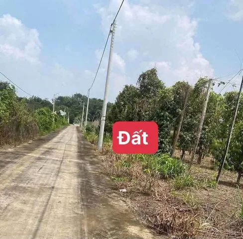 Bán Đất 1.000m2 có vườn sầu riêng lớn, mt ô tô giá 295 triệu