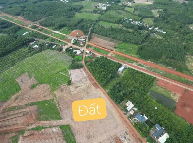 Bán Đất 200m2 có sẵn 100 m2 thổ cư giá 350 triệu tại Đường Mai Thúc Loan Xã Tân Tiến Huyện Đồng Phú Bình Phước