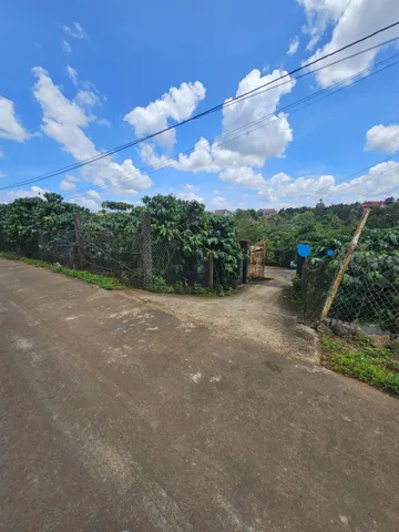 Bán Đất 1200m2 có sẵn 200 m2 thổ cư giá 2.4 tỷ tại Xã Hòa Ninh