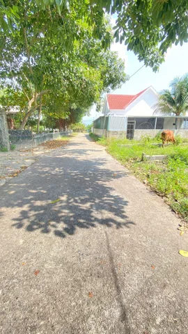 Bán Đất 145m2 có sẵn 145 m2 thổ cư giá 900 triệu tại Đường Hương Lộ 39 Xã Suối Tiên Huyện Diên Khánh Khánh Hòa