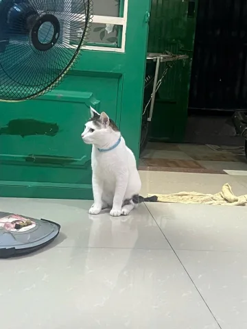 MẶT TIỀN KINH DOANH SẦM UẤT - NGUYỄN THÁI BÌNH  2 CHIỀU CÓ VỈA HÈ - DÒNG TIỀN 35 TRIỆU/THÁNG - 75M2 - NHỈNH 18 TỶ