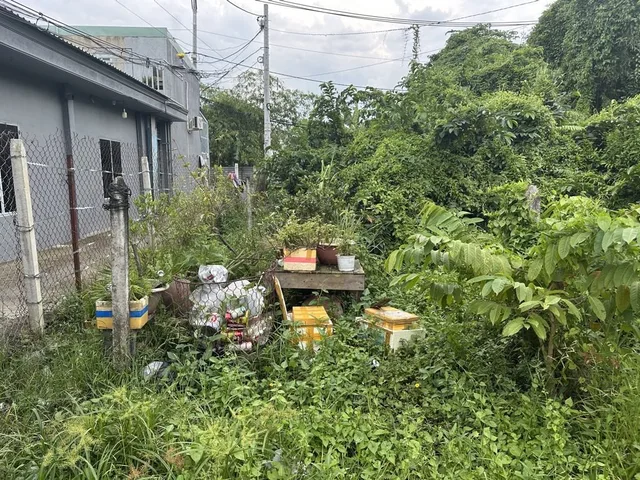 [DP180*] Đất vuông A4 hẻm ô tô 50m ra QL1A An Phú Đông, 8.x tỷ