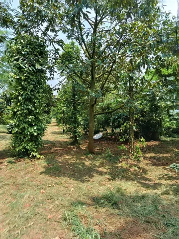 Bán Đất 4000m2 giá 4.6 tỷ tại Xã Ea Tu Thành phố Buôn Ma Thuột Đắk Lắk