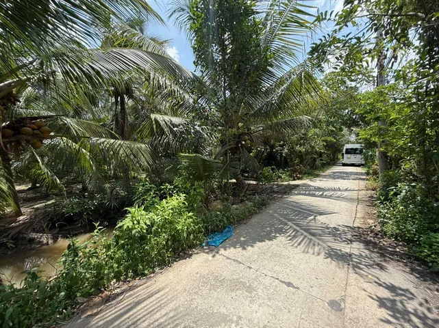 Bán Đất 500m2 giá 900 triệu tại Xã Giao Hòa Huyện Châu Thành Bến Tre