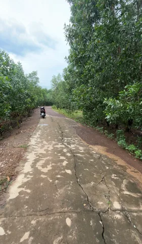 Bán Đất 1331m2 giá 400 triệu tại Xã Xuân Thành Huyện Xuân Lộc Đồng Nai