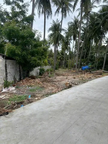 Bán 2000m2 QH Thổ cư giá 4 tỷ tại đường Bàu Me. LH: 0974090487
