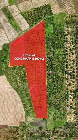 Bán Đất 12000m2 giá 6 tỷ tại Xã Hòa An Huyện Krông Pắc Đắk Lắk