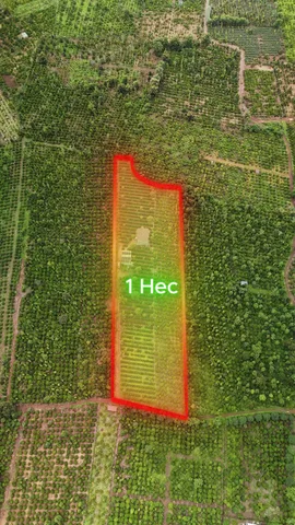 Bán Đất 10000m2 giá 4 tỷ tại Xã Ea M'nang Huyện Cư M'gar Đắk Lắk