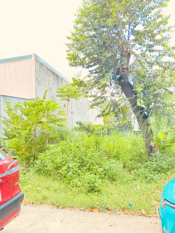 Bán Đất 133.4m2 có sẵn 133.4 m2 thổ cư giá 1.7 tỷ tại Đường NG2 Phường Chánh Phú Hòa Thị xã Bến Cát Bình Dương