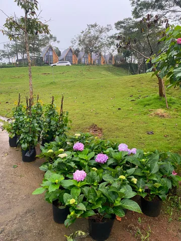 Bán Đất 110m2 có sẵn 110 m2 thổ cư giá 850 triệu tại Đường Quốc lộ 20 Phường 2 Thành phố Bảo Lộc Lâm Đồng