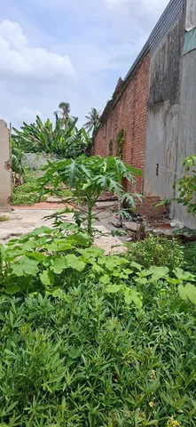 Bán Đất 114.6m2 giá 650 triệu tại Đường Trần Quý Cáp Phường An Bình Thành phố Rạch Giá Kiên Giang