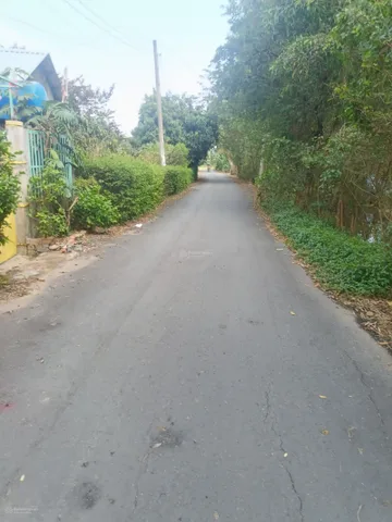 Bán tại Xã Hưng Long Huyện Bình Chánh TP. Hồ Chí Minh ( full thổ cư ).