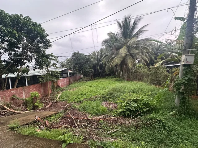 Bán Đất 1253.4m2 giá 1.6 tỷ tại Xã An Phước Huyện Mang Thít Vĩnh Long