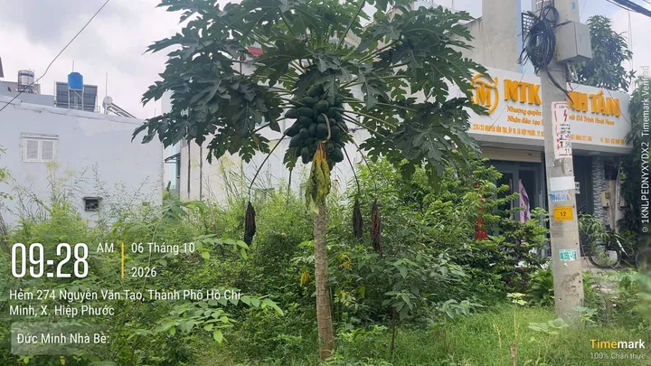 Bán Đất 123 m2 thổ cư giá 5.35 tỷ tại 274 Đường Nguyễn Văn Tạo Xã Long Thới Huyện Nhà Bè TP. Hồ Chí Minh
