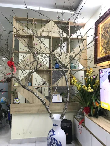 Cho thuê Nhà riêng 40m2 giá 6 triệu tại Đường Đà Nẵng Phường Vạn Mỹ Quận Ngô Quyền Hải Phòng