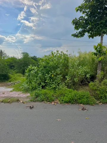 🏡 THÍCH NỀN GÓC, THÍCH THOÁNG — GHÉ XEM NỀN NÀY Ở LONG HÒA!
