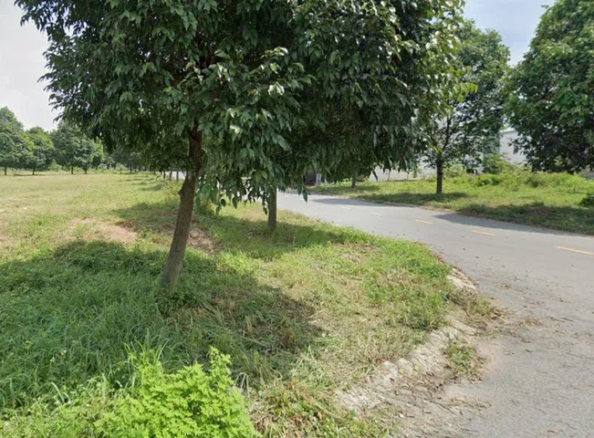 Bán Đất 291.1m2 có sẵn 291.1 m2 thổ cư giá 4.7 tỷ tại Xã Lai Hưng Huyện Bàu Bàng Bình Dương