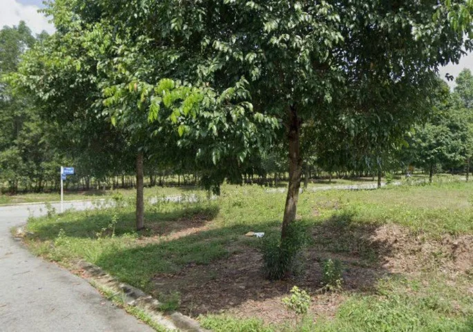 Bán Đất 300m2 có sẵn 300 m2 thổ cư giá 4.8 tỷ tại Xã Lai Hưng Huyện Bàu Bàng Bình Dương